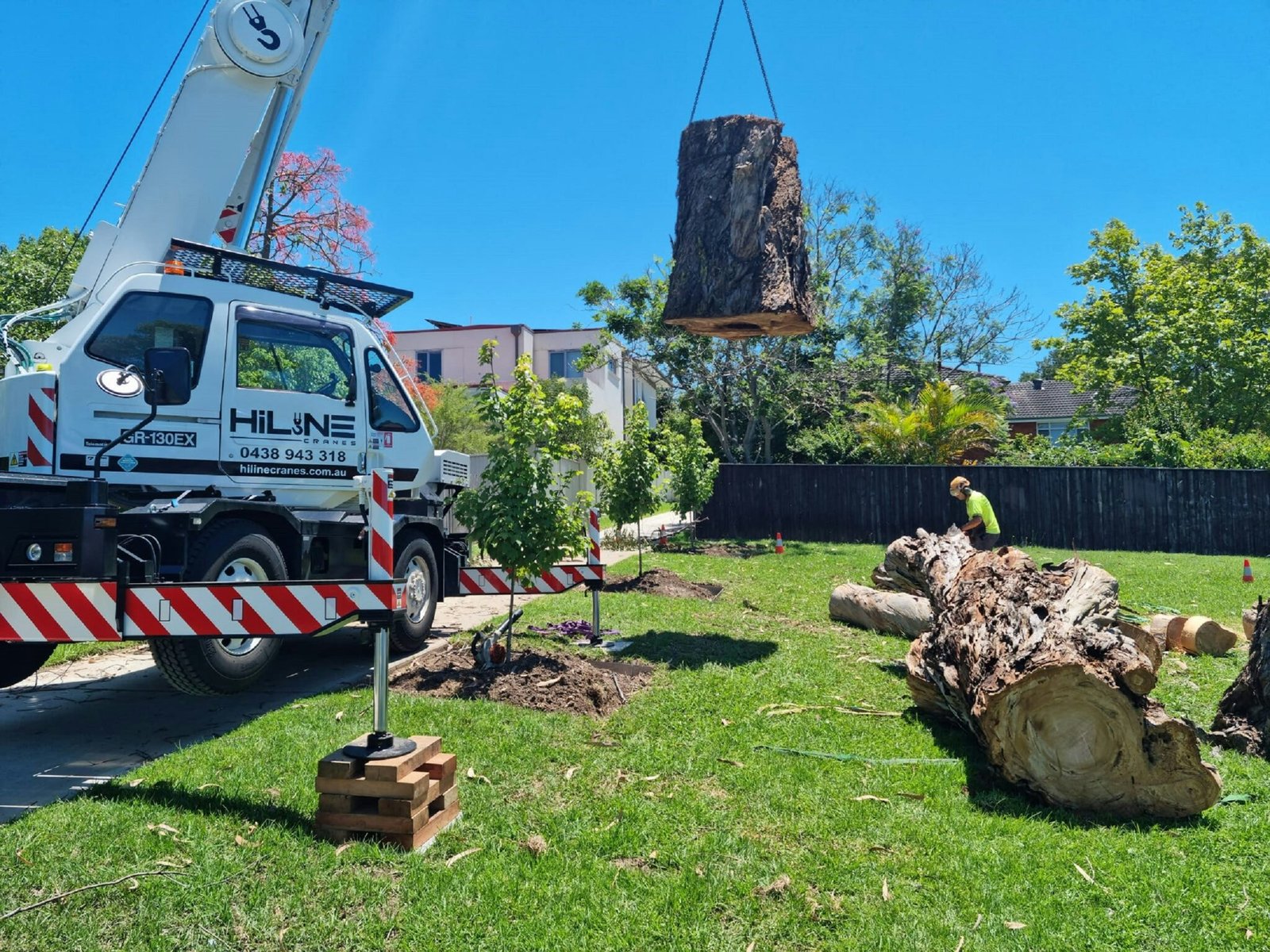 Emergency Tree Removal Cost: What It Typically Costs and Why - Costs Of ...